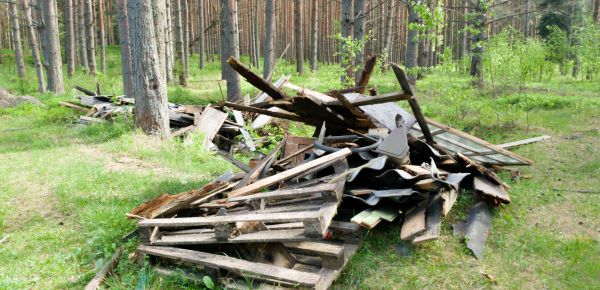 Debris Removal Service in Freehold